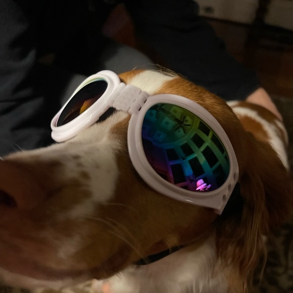 Meet your Posher, Christina - Picture 1 of 1